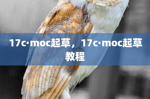 17c·moc起草，17c·moc起草教程