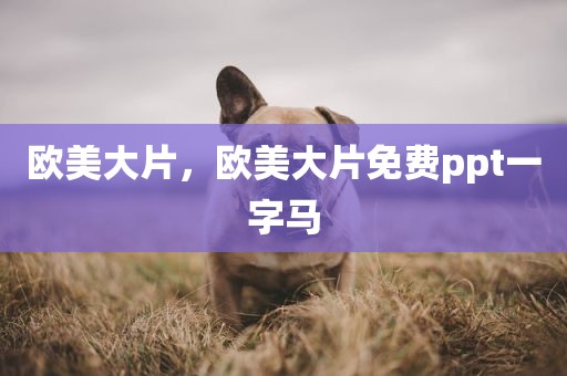 欧美大片，欧美大片免费ppt一字马