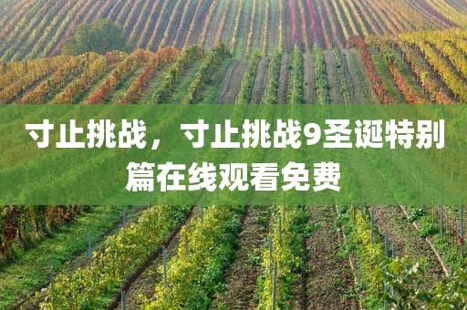 寸止挑战，寸止挑战9圣诞特别篇在线观看免费