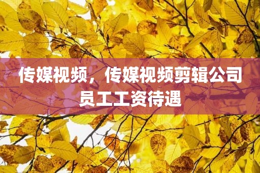 传媒视频，传媒视频剪辑公司员工工资待遇