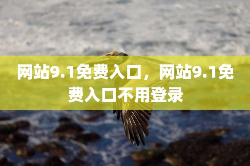网站9.1免费入口，网站9.1免费入口不用登录