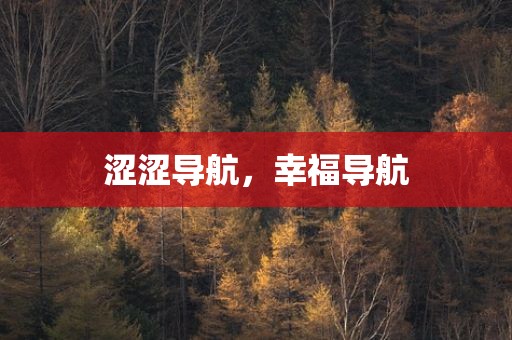 涩涩导航，幸福导航