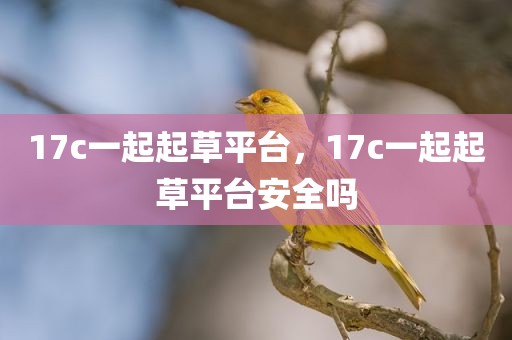 17c一起起草平台，17c一起起草平台安全吗