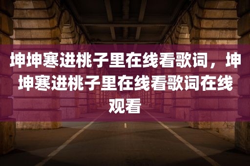 坤坤寒进桃子里在线看歌词，坤坤寒进桃子里在线看歌词在线观看