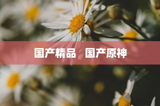 国产精品   国产原神