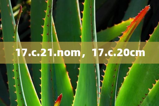 17.c.21.nom，17.c.20cm