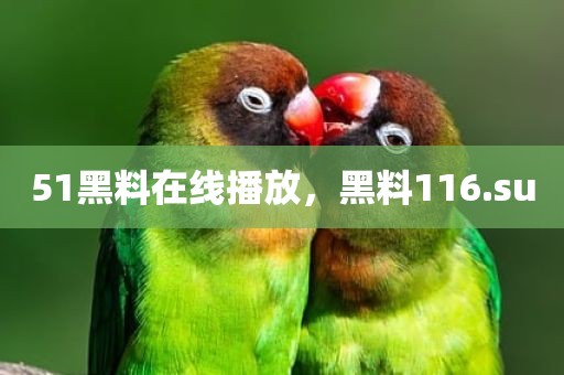 51黑料在线播放，黑料116.su