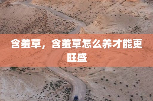 含羞草，含羞草怎么养才能更旺盛