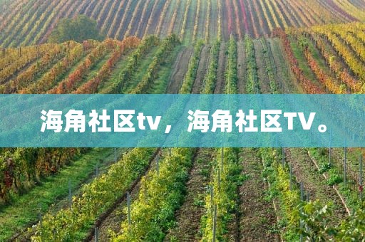 海角社区tv，海角社区TV。