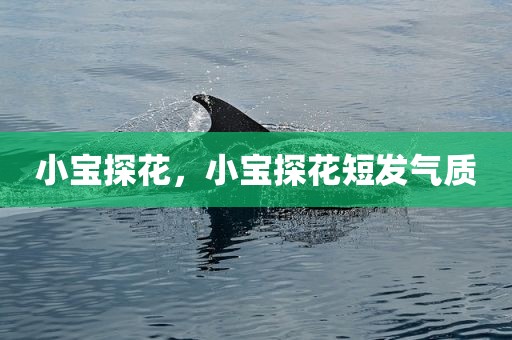 小宝探花，小宝探花短发气质