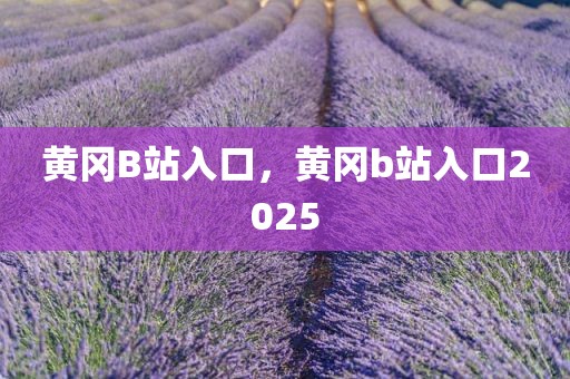 黄冈B站入口，黄冈b站入口2025