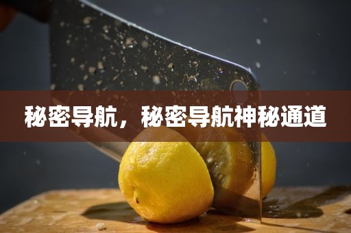 秘密导航，秘密导航神秘通道