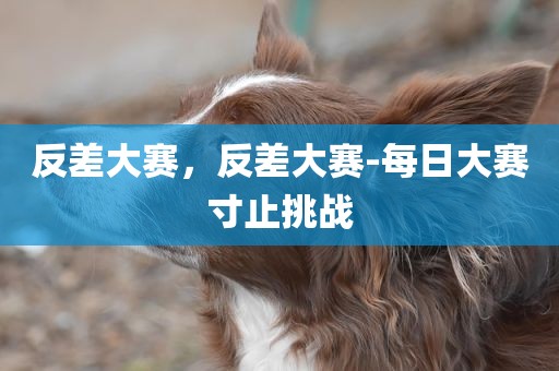 反差大赛，反差大赛-每日大赛寸止挑战