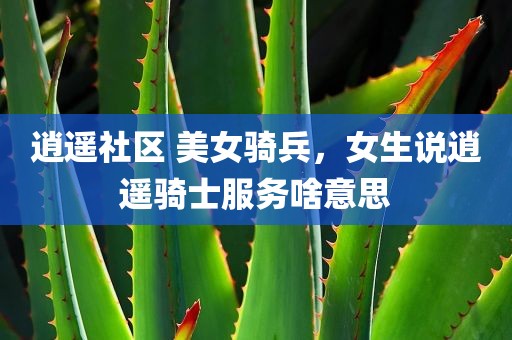 黄瓜视频，黄瓜视频破解版免费观看下载安装