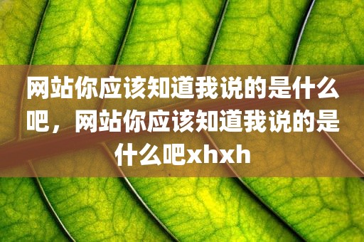 网站你应该知道我说的是什么吧，网站你应该知道我说的是什么吧xhxh