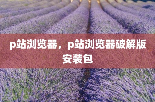 p站浏览器，p站浏览器破解版安装包