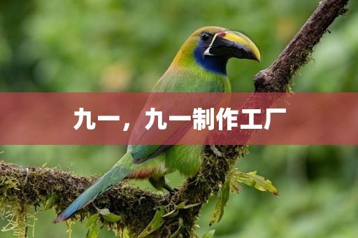 九一，九一制作工厂