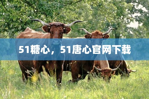 51糖心，51唐心官网下载