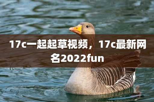 17c一起起草视频，17c最新网名2022fun