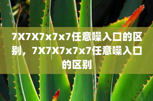 7X7X7x7x7任意噪入口的区别，7X7X7x7x7任意噪入口的区别