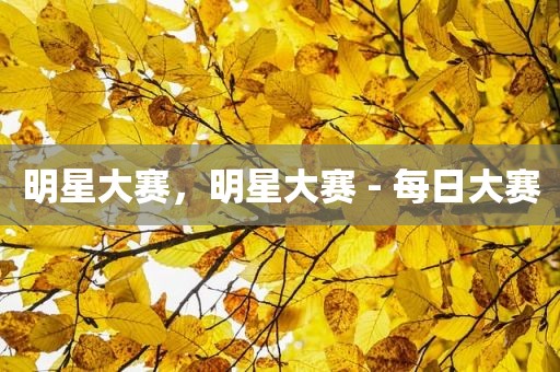 明星大赛，明星大赛 - 每日大赛