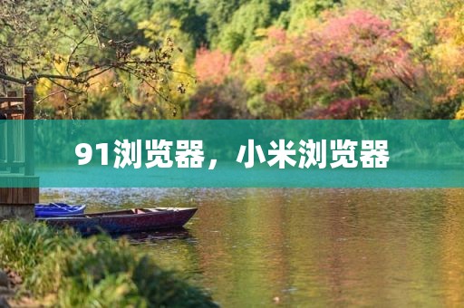 91浏览器，小米浏览器
