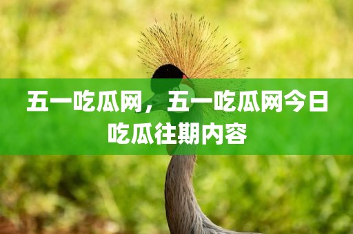 五一吃瓜网，五一吃瓜网今日吃瓜往期内容