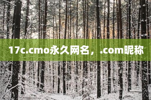 17c.cmo永久网名，.com昵称