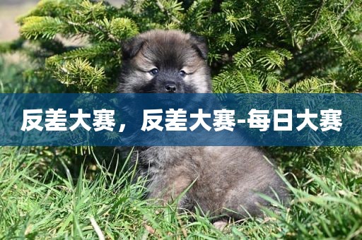 反差大赛，反差大赛-每日大赛
