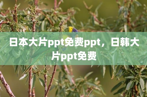 日本大片ppt免费ppt，日韩大片ppt免费