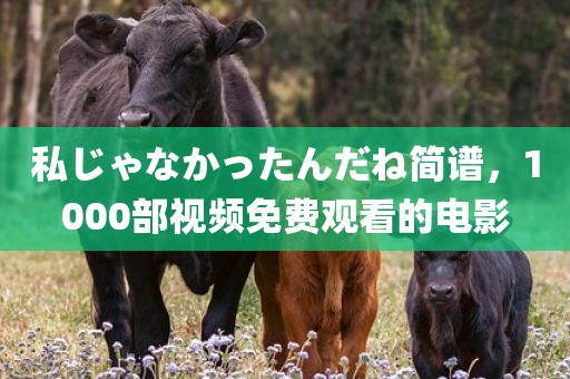 私じゃなかったんだね简谱，1000部视频免费观看的电影
