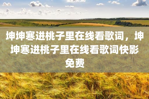 坤坤寒进桃子里在线看歌词，坤坤寒进桃子里在线看歌词快影免费