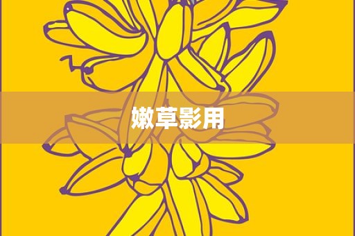 嫩草影用