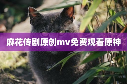 麻花传剧原创mv免费观看原神