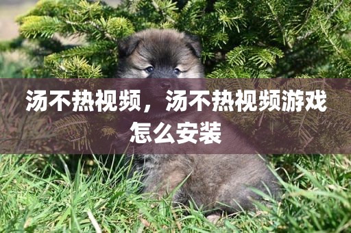 汤不热视频，汤不热视频游戏怎么安装