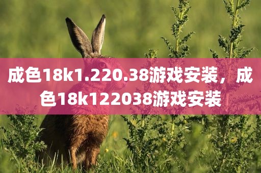 成色18k1.220.38游戏安装，成色18k122038游戏安装