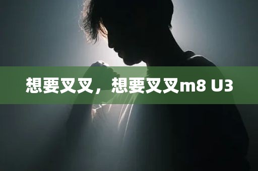 想要叉叉，想要叉叉m8 U3