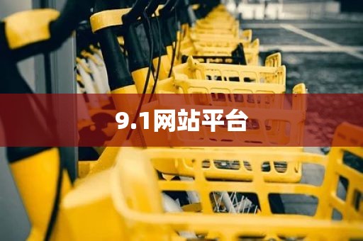 9.1网站平台