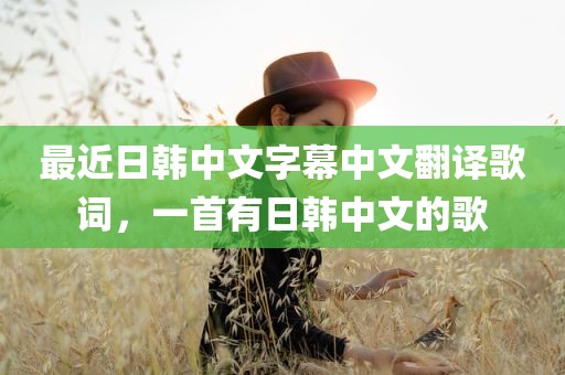 最近日韩中文字幕中文翻译歌词，一首有日韩中文的歌
