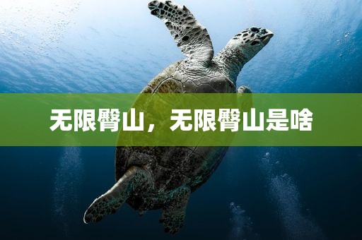 无限臀山，无限臀山是啥