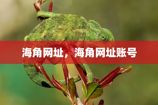 海角网址，海角网址账号