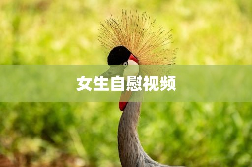 女生自慰视频
