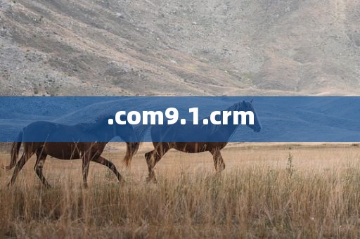 .com9.1.crm