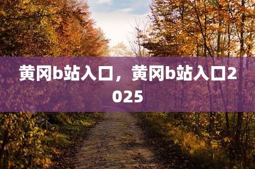 黄冈b站入口，黄冈b站入口2025