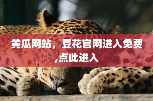 黄瓜网站，豆花官网进入免费,点此进入