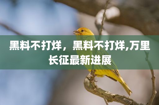 黑料不打烊，黑料不打烊,万里长征最新进展