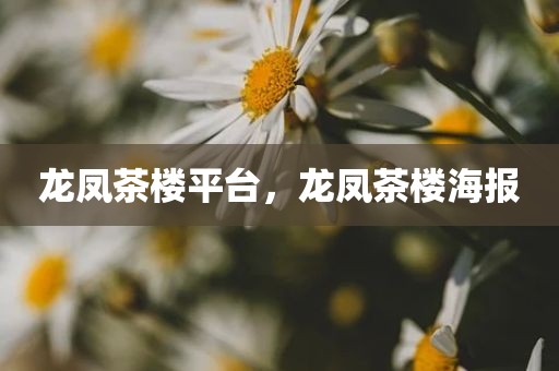 龙凤茶楼平台，龙凤茶楼海报