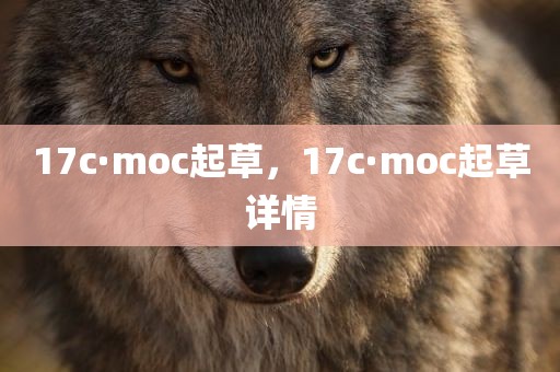 17c·moc起草，17c·moc起草详情