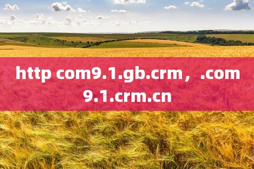 http com9.1.gb.crm，.com9.1.crm.cn