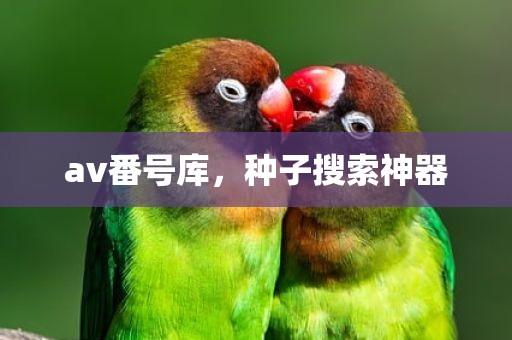 av番号库，种子搜索神器